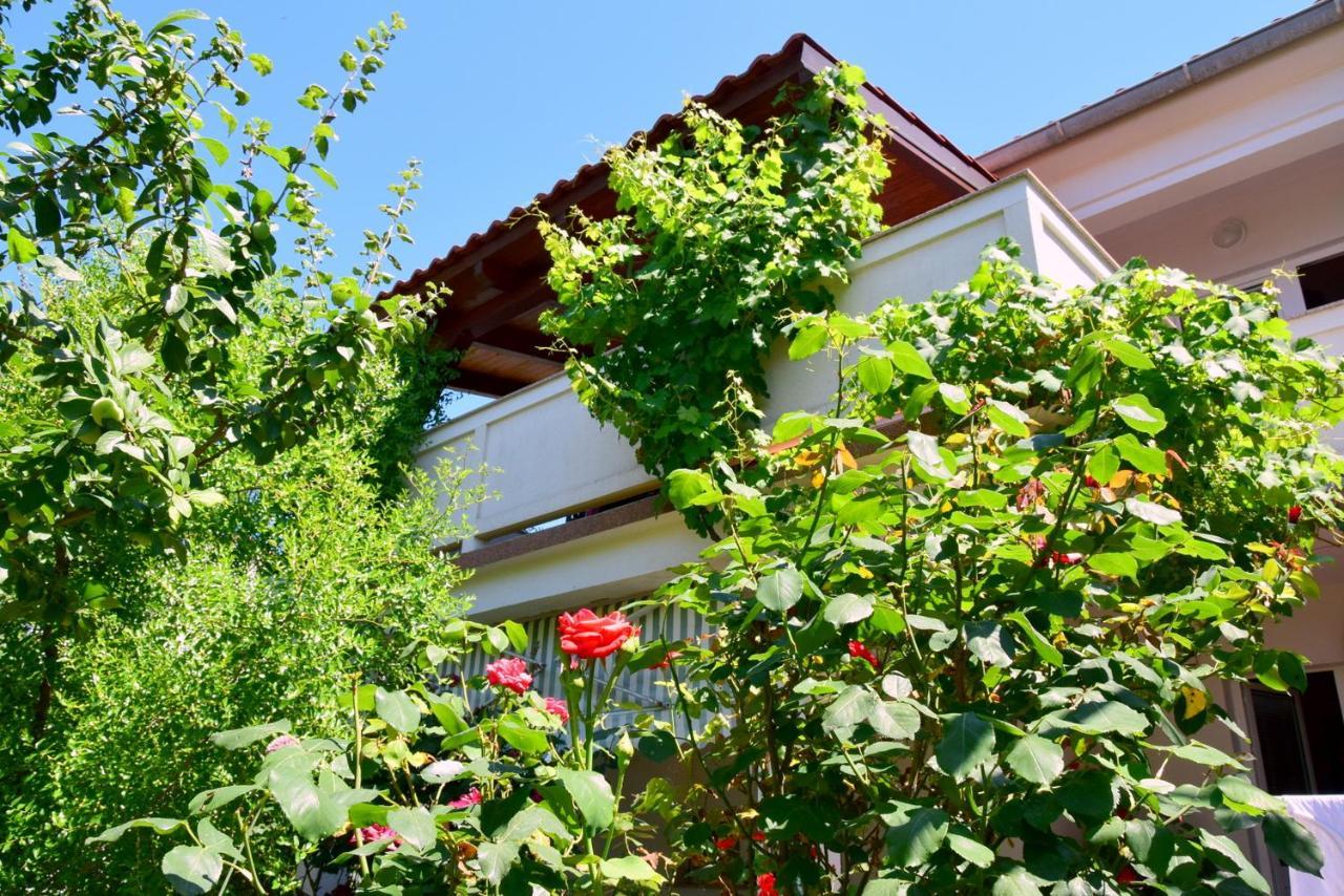 Villy City Apartment Palit Eksteriør billede